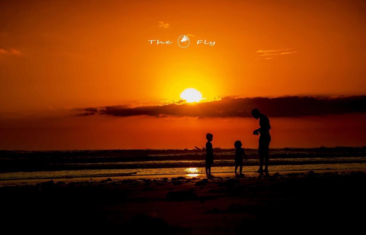Funky Monkey Lodge Playa Santa Teresa  Екстер'єр фото