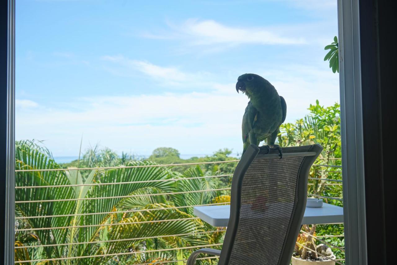 Funky Monkey Lodge Playa Santa Teresa  Екстер'єр фото