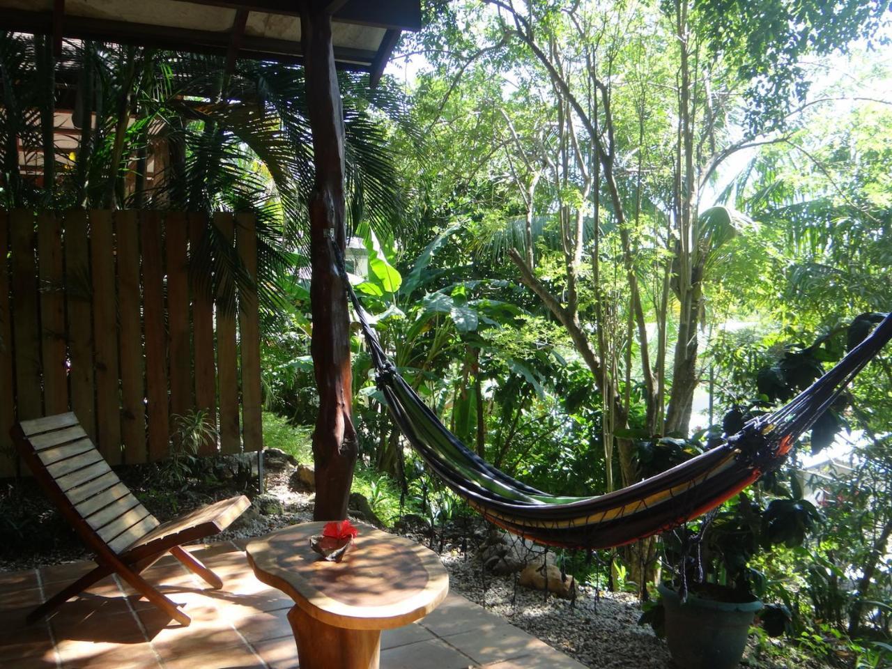Funky Monkey Lodge Playa Santa Teresa  Екстер'єр фото